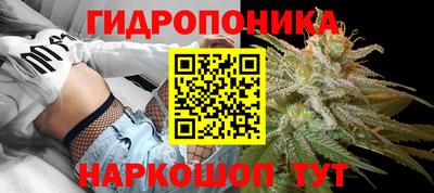 мяу мяу мука Северобайкальск