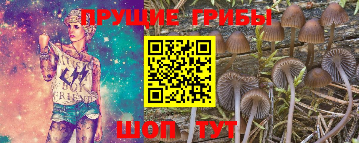 Псилоцибиновые грибы прущие грибы  Вход с VPN  Псилоцибиновые грибы ЛСД  Ноябрьск 