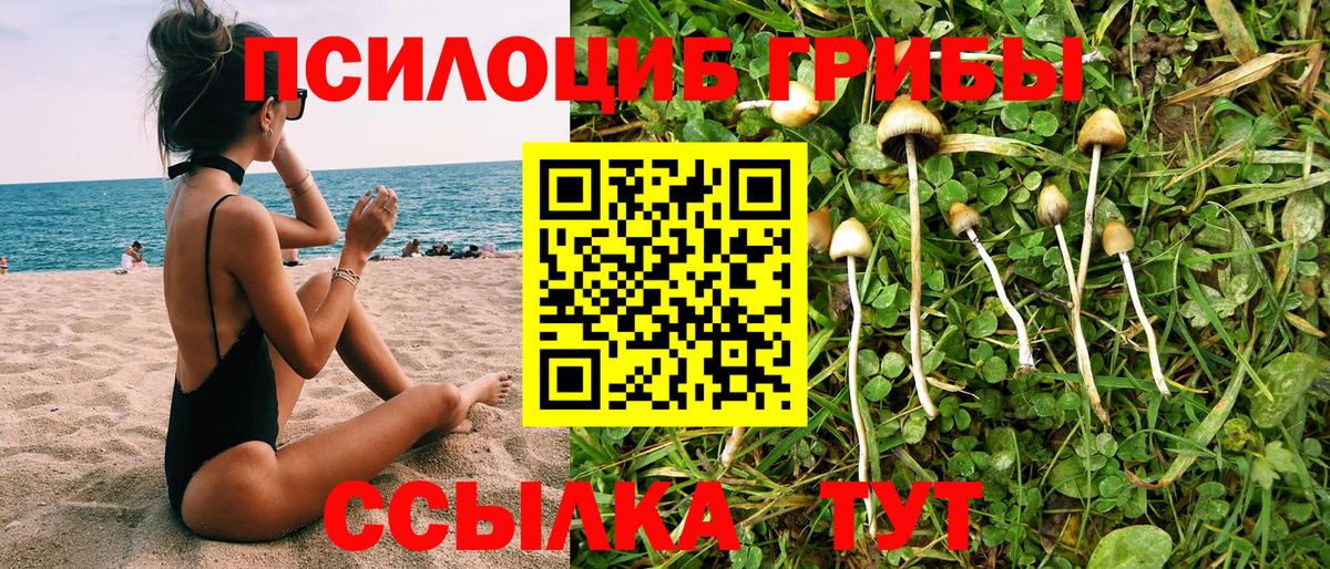 Псилоцибиновые грибы Magic Shrooms Ноябрьск