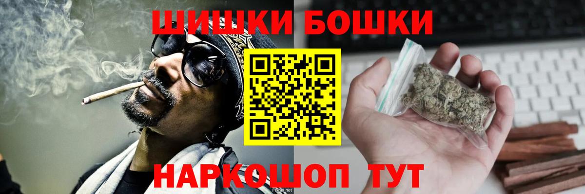 Каннабис OG Kush Ноябрьск